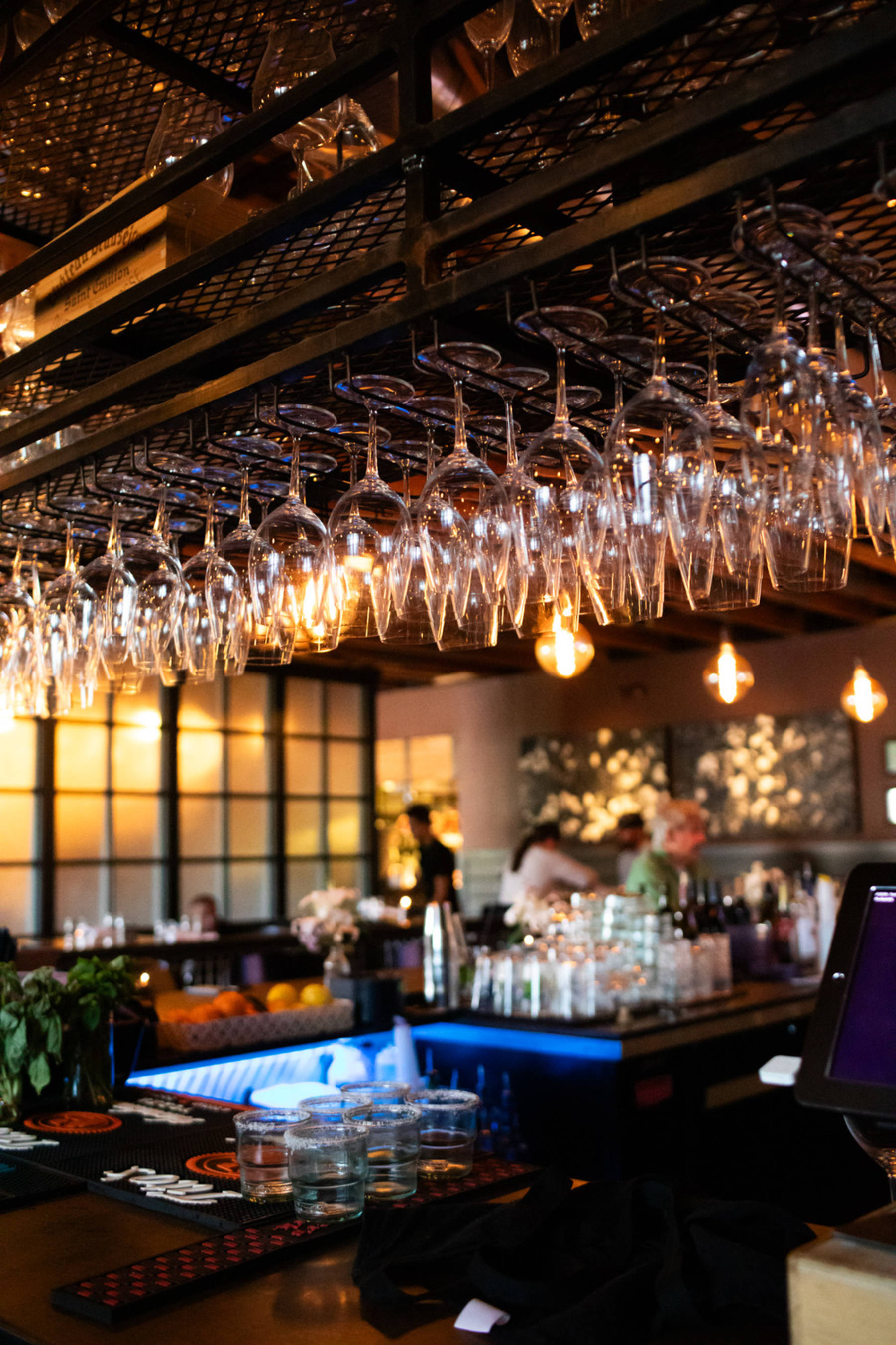 Restaurant » Drinks » Wine Photo
